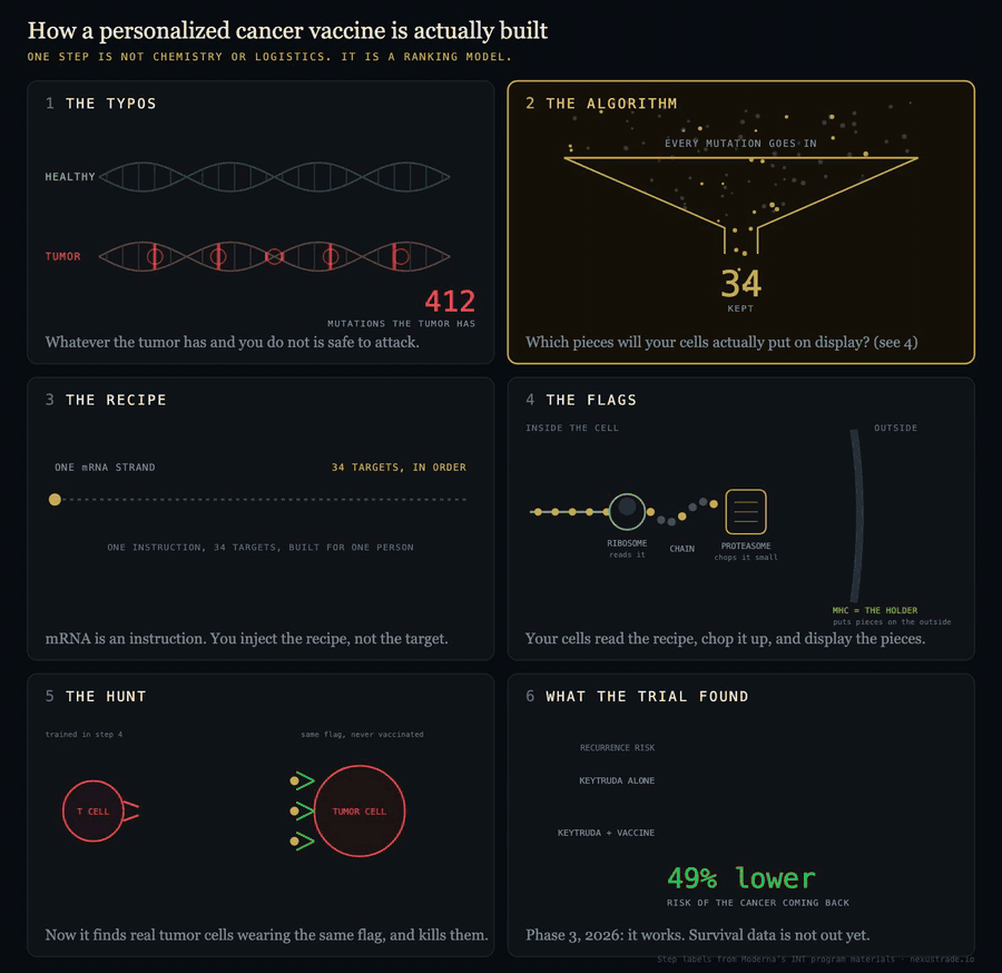 Animated explanation of Moderna's personalized neoantigen vaccine pipeline