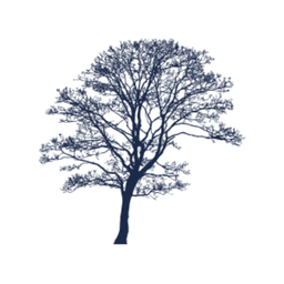 THOMPSON DAVIS & CO., INC. logo