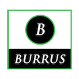 BURRUS FINANCIAL SERVICES, INC. logo