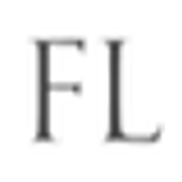 FLC Capital Advisors logo