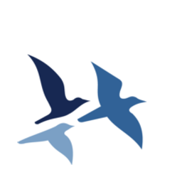 BOONE CAPITAL MANAGEMENT LLC logo